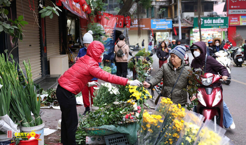 Bao nhiêu ngày nữa đến Tết - Thống nhất có tính ngày hôm nay hay không