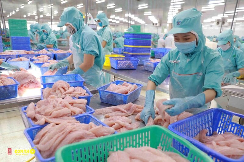 Cá basa - Bảo quản