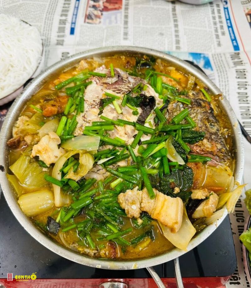 Cá chép om dưa - Chọn cá chép tươi Cá chép om dưa - Chọn cá chép tươi