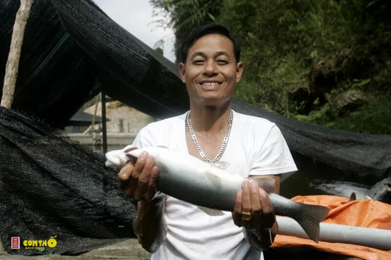 Cá hồi - 1. Áp chảo da giòn