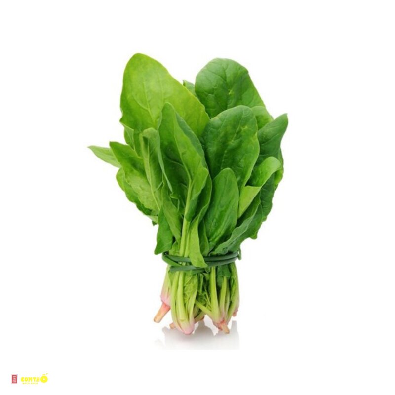 Cải bó xôi - Bảo quản trong tủ lạnh