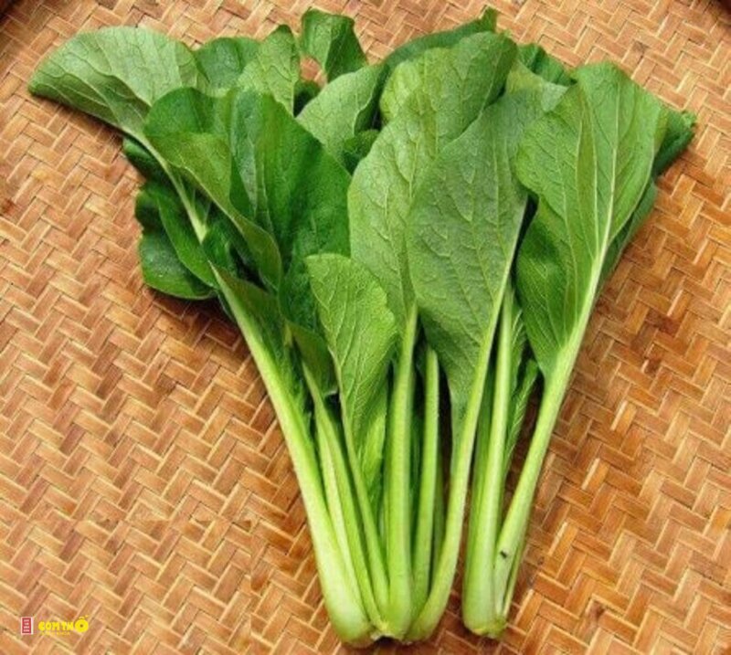 Cải ngọt - 5. Cải ngọt xào nấm Cải ngọt - 5. Cải ngọt xào nấm