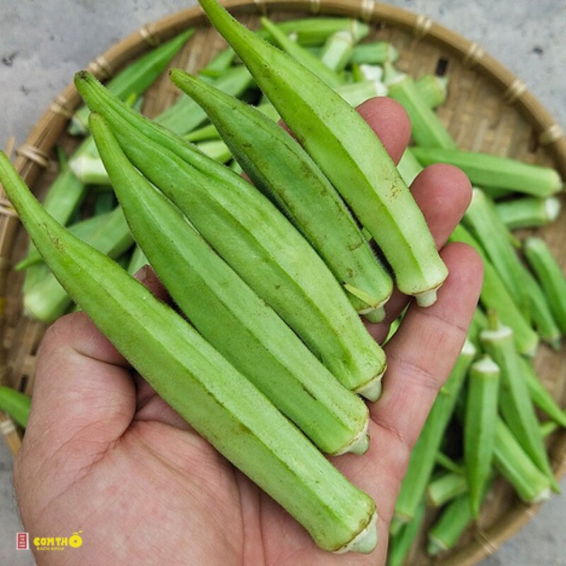 Đậu bắp - 8. Đậu bắp nhồi thịt