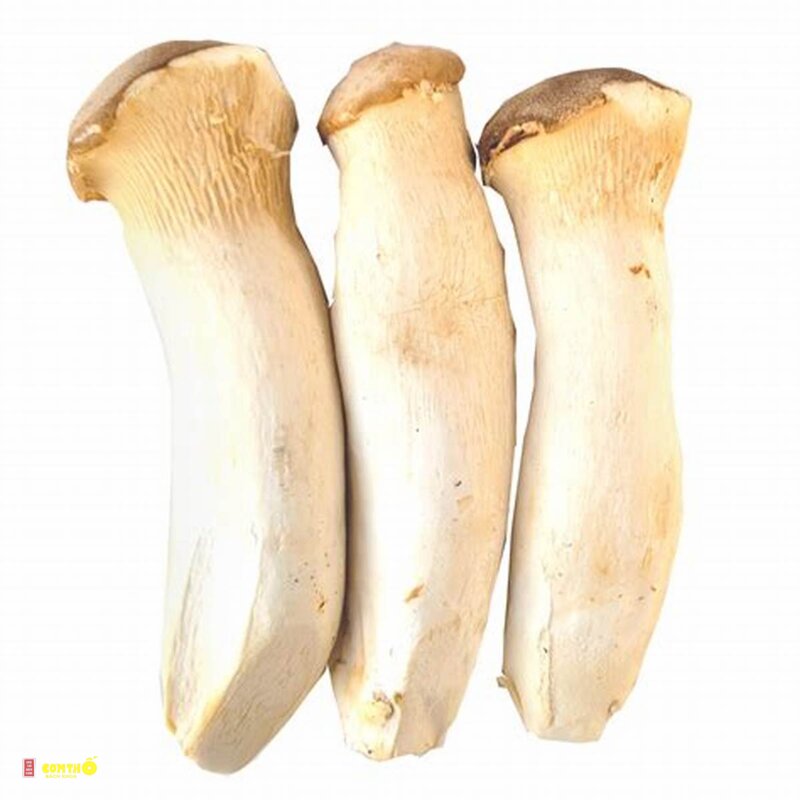 Nấm đùi gà - 5. Thịt bò xào nấm đùi gà
