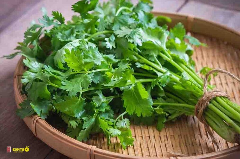 Rau mùi - Phân biệt với ngò gai và mùi tàu