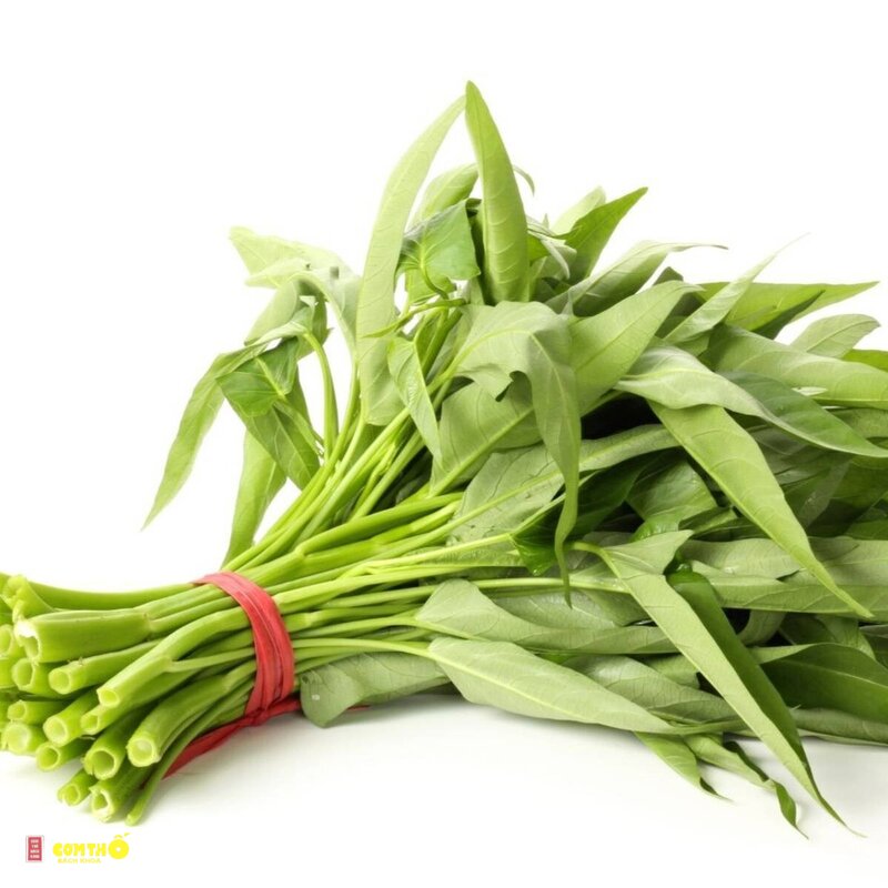 Rau muống - Các loại phổ biến